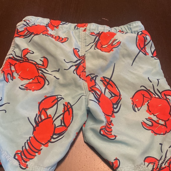 Tucker + Tate swim suit / swim trunks - Picture 2 of 5